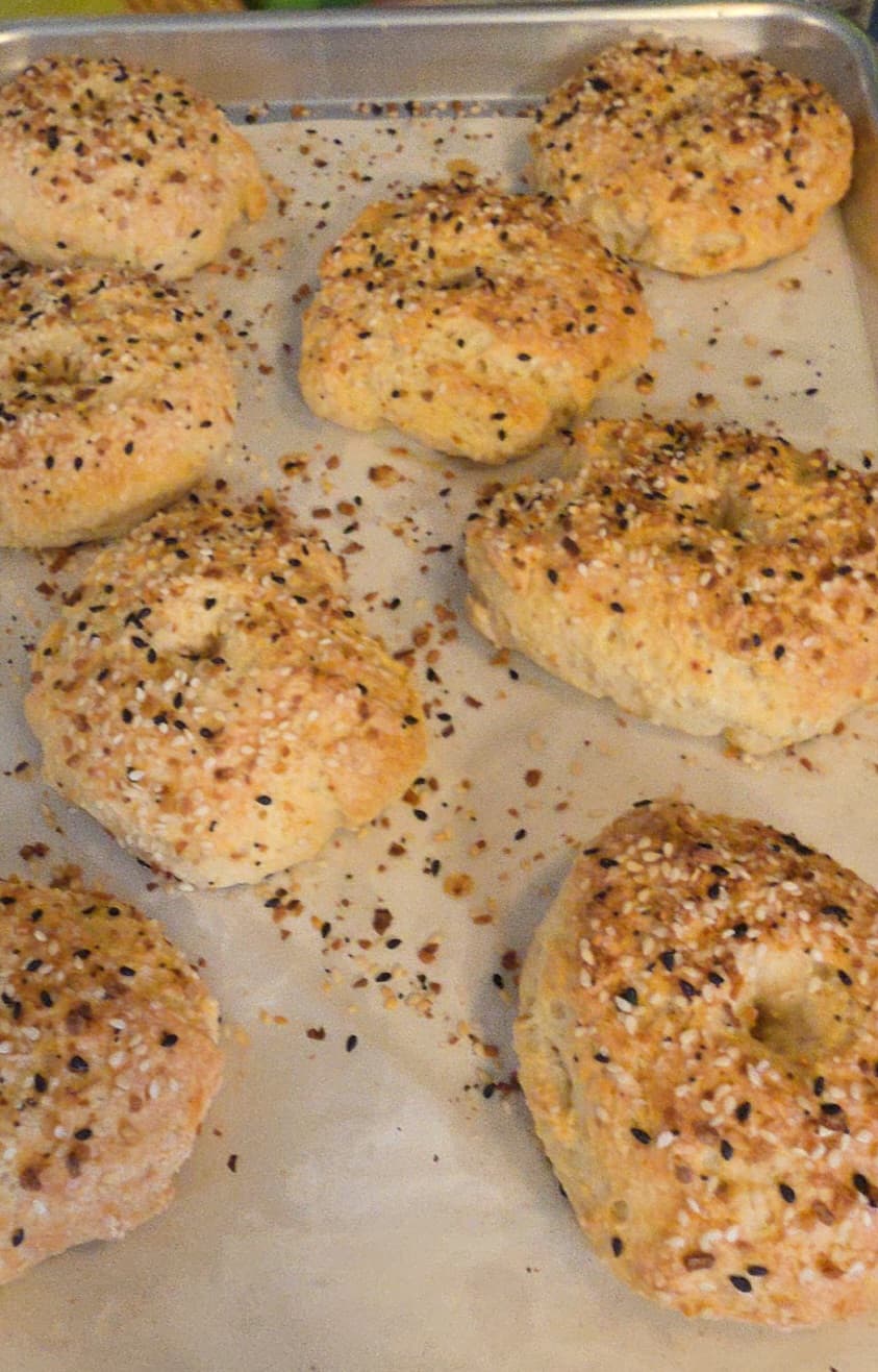 Protein Bagels
